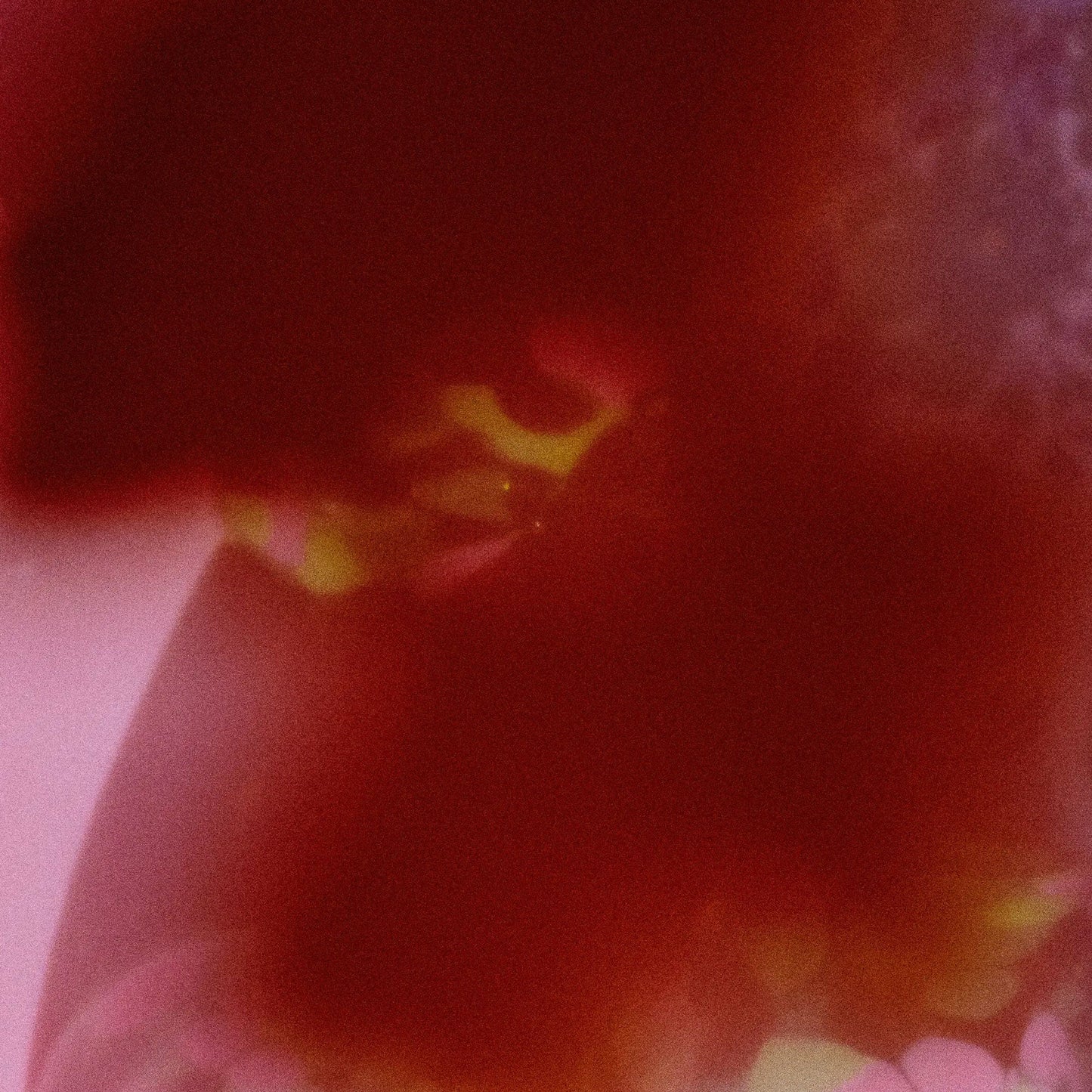 Abel Pause Eau De Parfum