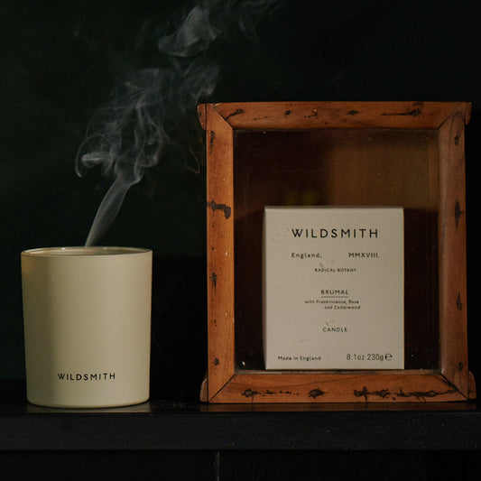 Wildsmith Skin Brumal Candle 230g