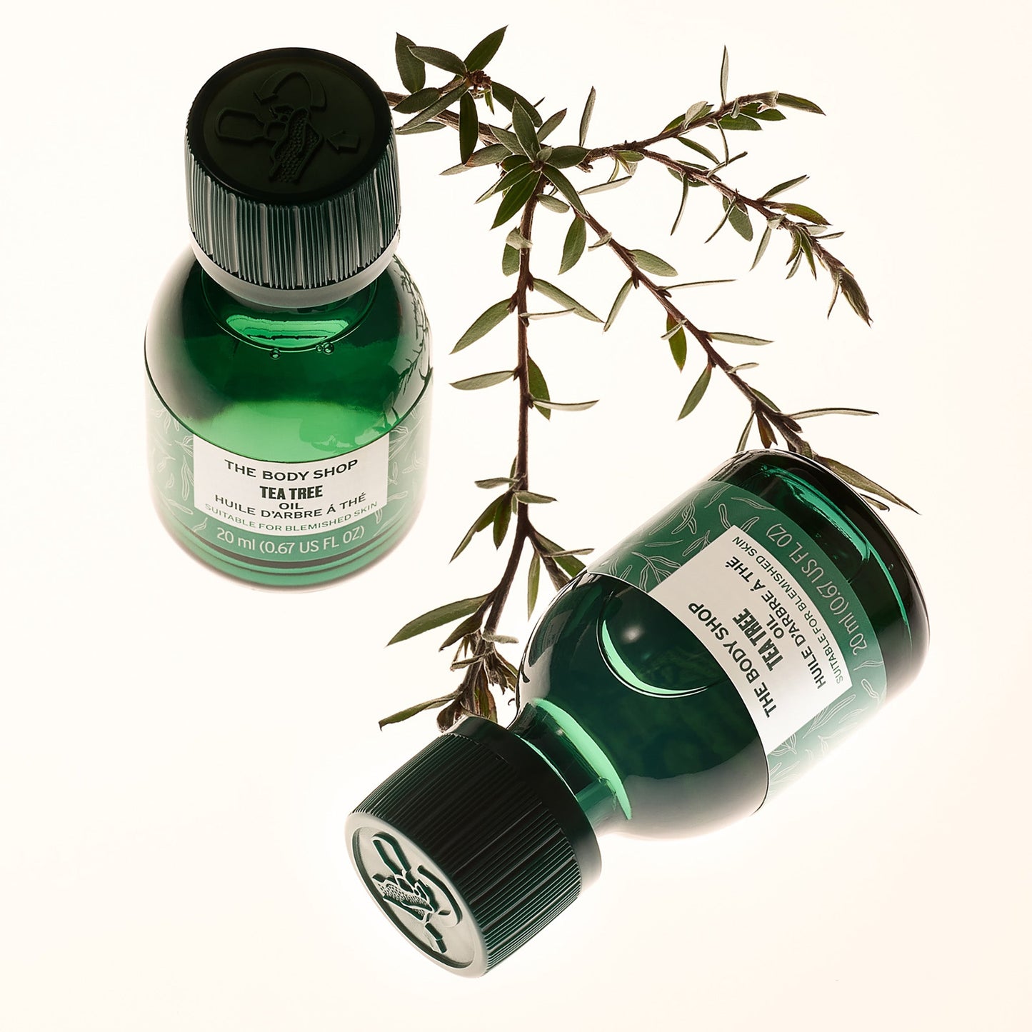 Tea Tree Oil for skin 10ml