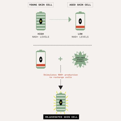 Age Confidence™ NAD+ & TriPeptide Renewal Serum