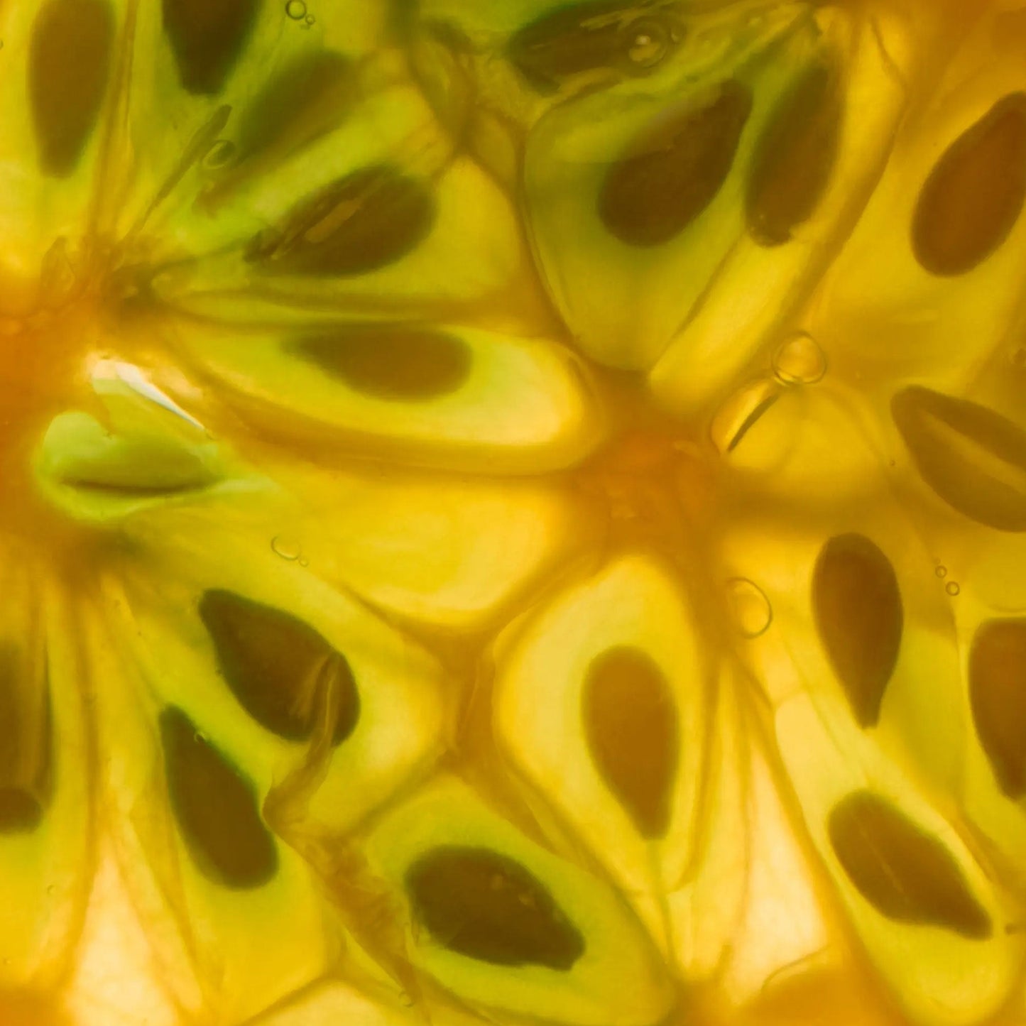 Abel Laundry Day Eau De Parfum