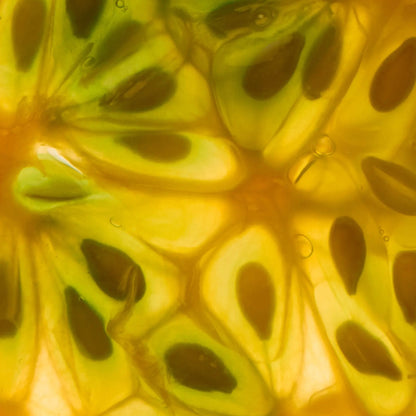 Abel Laundry Day Eau De Parfum