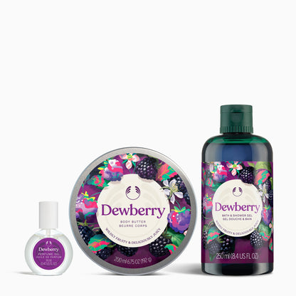 Dewberry Essentials Collection