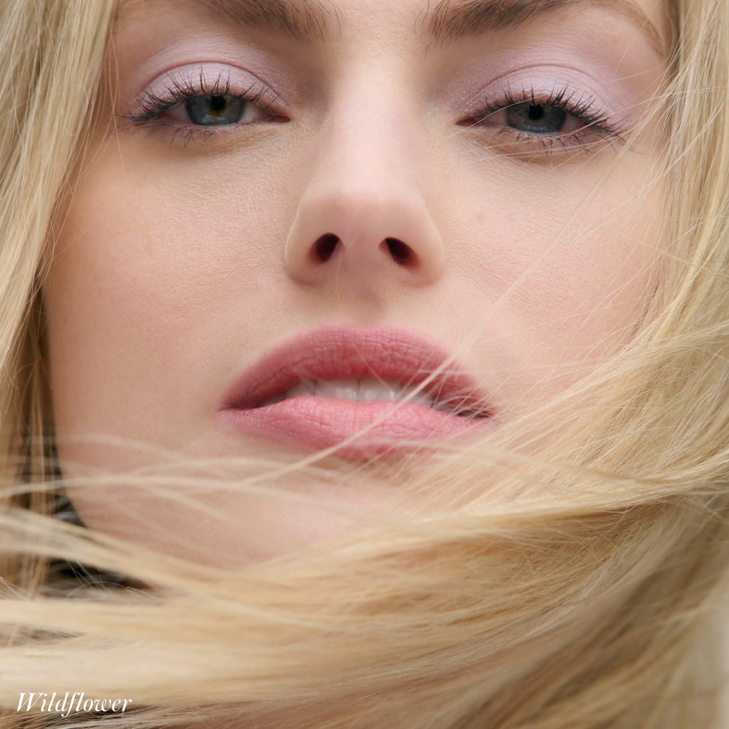 Rms Beauty Cashmere Matte Eyelights Eye Shadow