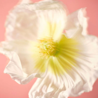 Nuori Midsommer Eau de Parfum