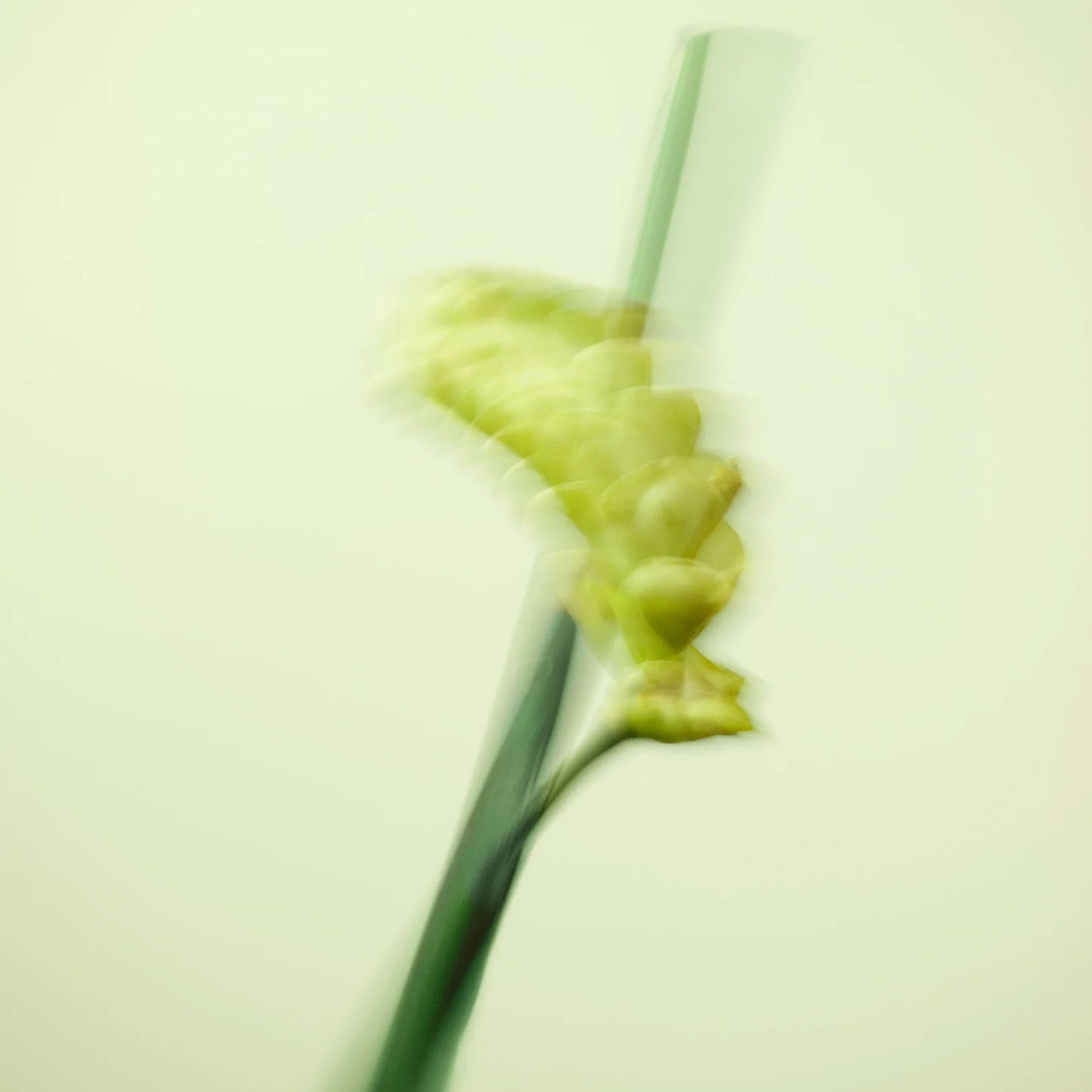 Nuori Shinrin Eau de Parfum