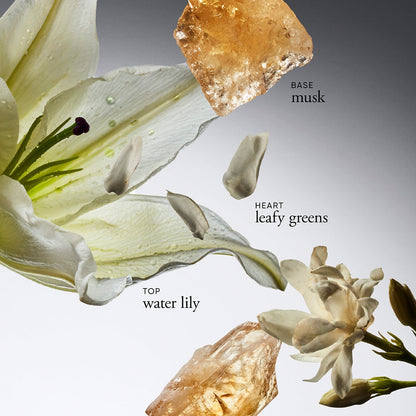 pure grace eau de toilette