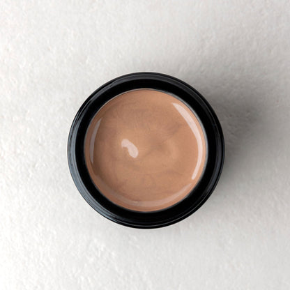 Twelve Artemisia Power Protection Tinted Moisturiser SF50+