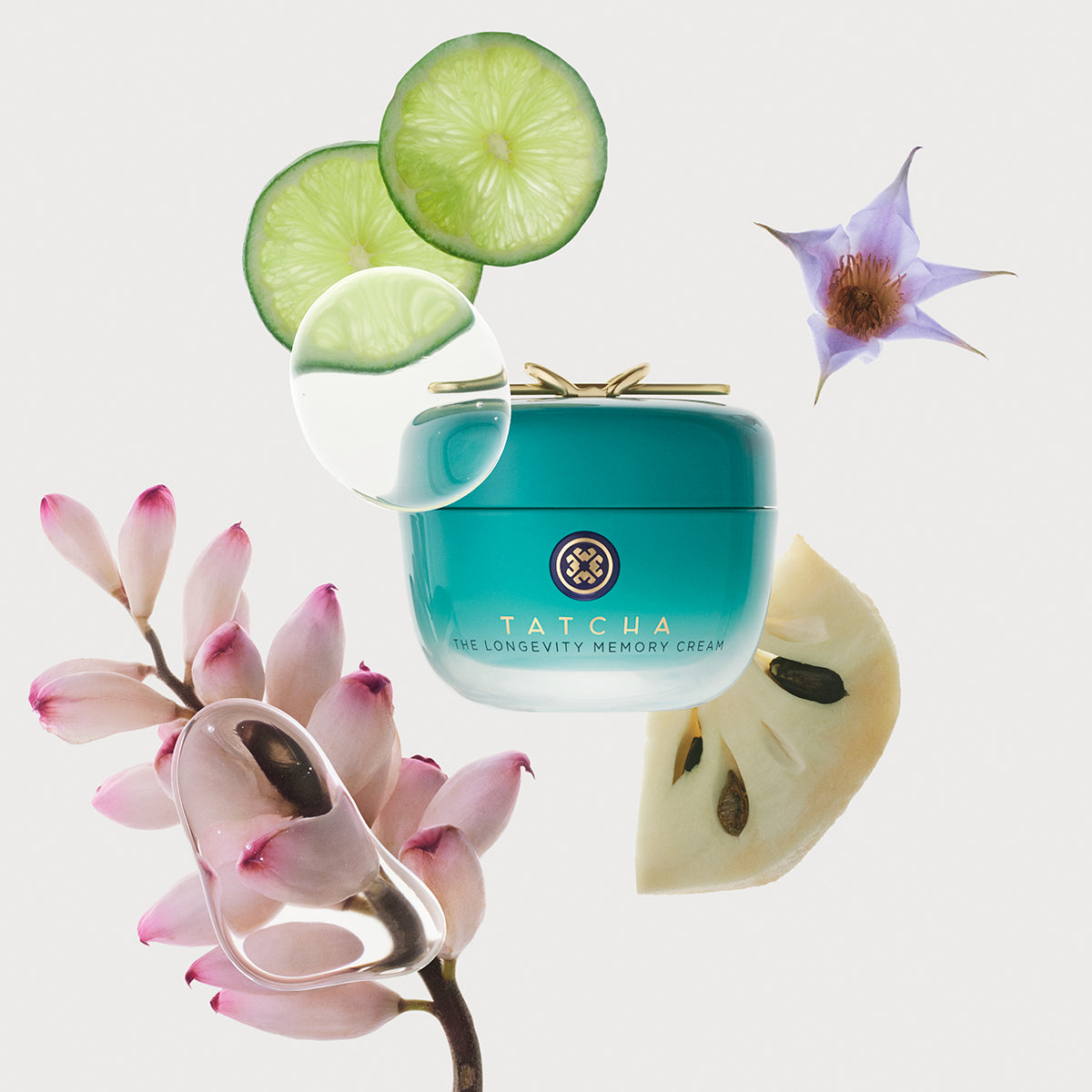 The Longevity Memory Cream